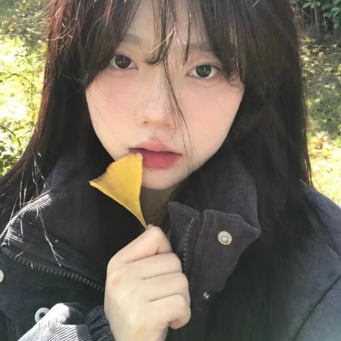 少数意见